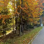Dovolena Bez Starosti - Bellevue *