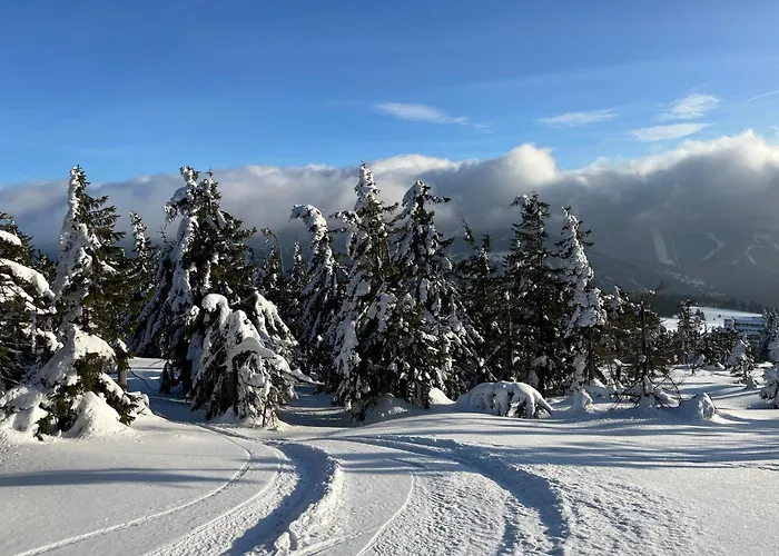Dovolená Bez Starostí - Bellevue *